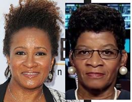 Wanda Sykes Just Another Government Agent
