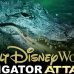Orlando Alligator Attack